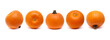 horizontal border made of Round orange pumpkins isolated on white background