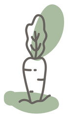 Wall Mural - Farm carrot, illustration, vector, on a white background.