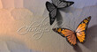 Be Changed Butterfly Background Crack in wall with script type