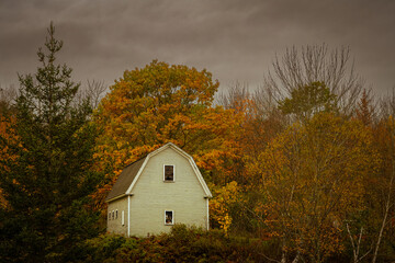 Wall Mural - 2021-10-31 A ABANDONED FARM HOUSE IN BOOTH BAY MAINE SURROUNDED BY FALL FOLIAGE