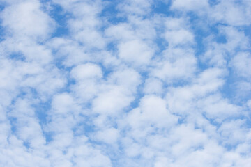 Wall Mural - blue sky with clouds