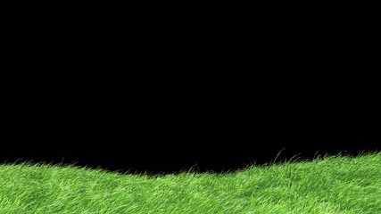 Wall Mural - mountain grass swaying wind loop with alpha channel. element footage you can place on background.