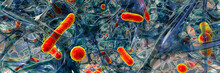 Antibiotic resistant bacteria in a biofilm, 3D illustration