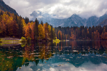 Wall Mural - Magnificent colors of autumn