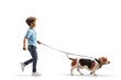Full length profile shot of a boy walking a basset hound dog on a lead isolated on white background