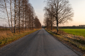 Sticker - country road in autumn