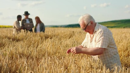 Poster - In front of the camera old man farmer came together with his family multiracial members and analysing the results of harvest from this year