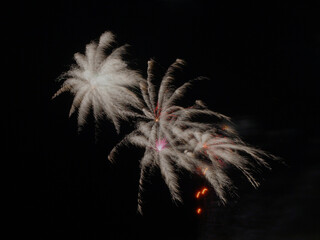 Sticker - Colorful fireworks display in the dark night sky