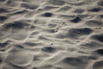 Wall Mural - Closeup shot of textural details on gray sand