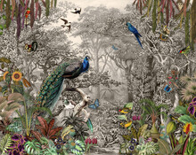 Wallpaper Jungle And Tropical Forest Banana Palm And Tropical Birds Peacock Birds Old Drawing Vintage