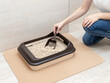Young woman cleaning cat litter box with wood pellets in bathroom. Pet care, hygiene concept