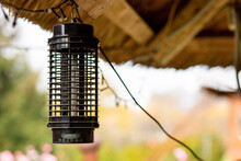 Trap Insect Exterminator Lamp