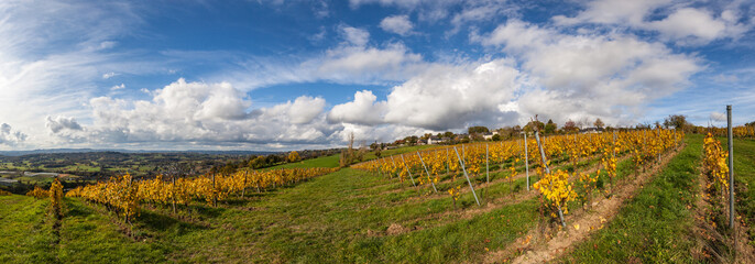 Poster - Allassac (Corrèze, France) - La Chartroulle - Vue panoramique des vignobles de la vallée de la Vézère en automne