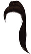 trendy women hairs brunette brown colour .high 
ponytail . fashion beauty style .