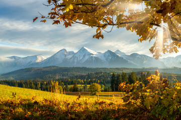Wall Mural - beautiful autumn landscape of tatry mountains