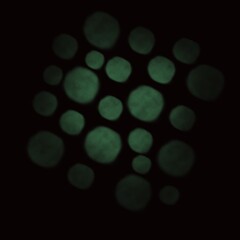 Wall Mural - abstract bokeh background