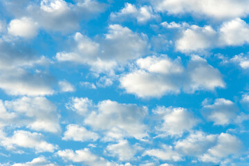 Wall Mural - .Small white clouds called rows spaced apart. interspersed with blue sky
