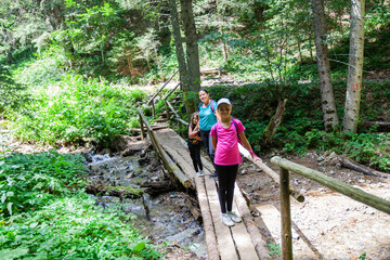 Wall Mural - Adventure in summer green forest. Family passing over old wooden bridge over stream. Beautiful day in nature.