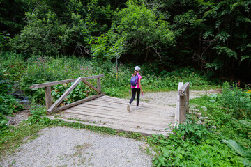 Wall Mural - Adventure in summer green forest. Child passing over old wooden bridge over stream. Beautiful day in nature.