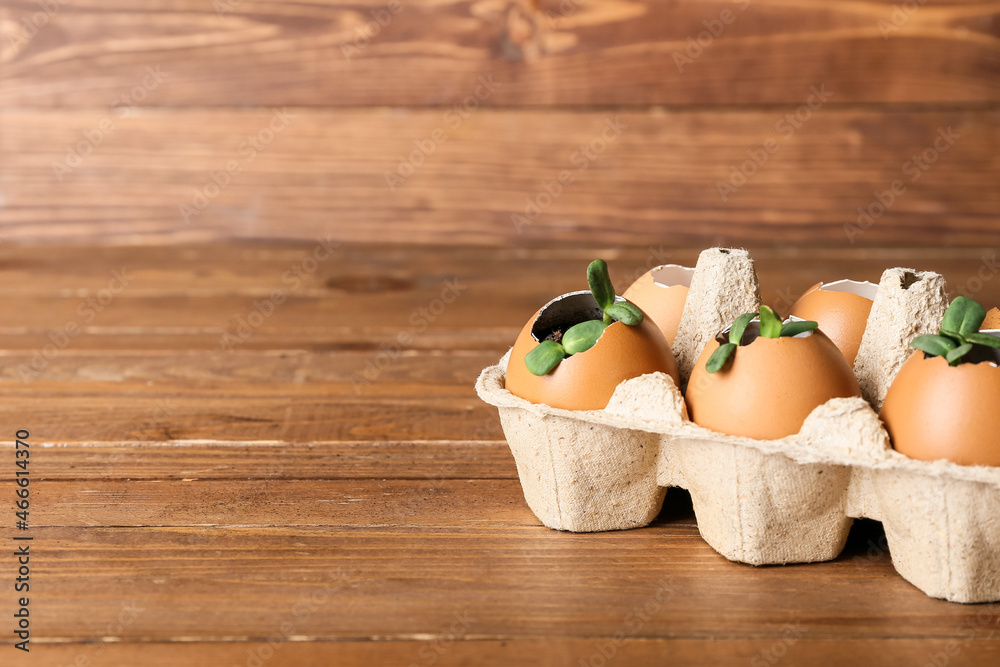 Eggshells with green seedlings on wooden background, closeup