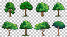 Set Of Variety Trees On Transparent Background