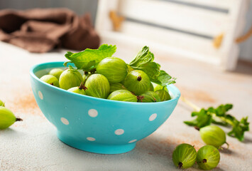 Canvas Print - Fresh gooseberries in blue bowl. Top view.