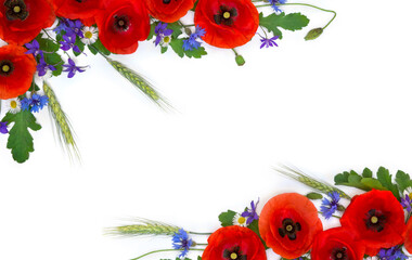 Wall Mural - frame of wildflowers, flowers red poppy, daise, cornflower, consolida, wheat ears on a white backgro
