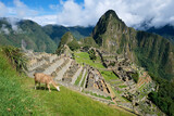 Fototapeta Nowy Jork - View of Machu Picchu ruins in Peru. Archaeological site, UNESCO World Heritage.