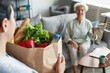 © Seventyfour - Portrait of female caregiver bringing groceries to senior woman, copy space