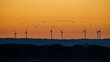 Wind Energy and Migration Birds of Crane at sunset