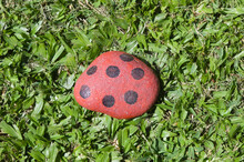Red Stone With Black Circles On A Green Grass.