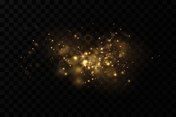 Poster - Christmas light effect. Sparkling magical dust particles.The dust sparks and golden stars shine with special light.