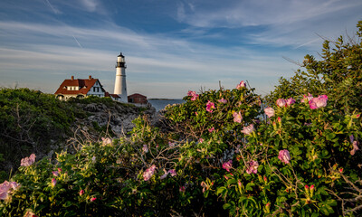 Wall Mural - Portland Head Light in Maine 