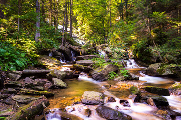 waterfall in the forest