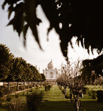 Fototapeta Miasto - Beautiful Taj Mahal between tree branches