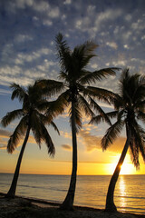 Wall Mural - Sunset over Ouvea lagoon on Ouvea Island, Loyalty Islands, New Caledonia