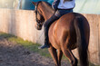The girl rides a horse without a saddle. Bareback. Riding training. Exercises with the horse. Dressage, whip paddock