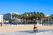 a man with no shirt riding a bike along a smooth winding bike path at the beach surrounded by beach front hotels, lush green palm trees and silky sand at Santa Monica Beach in California USA