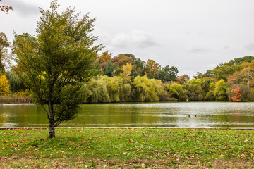 Sticker - autumn in the park
