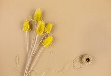 Dry Bunch Of Yellow Flowers On Beige Background, Top View. Bouquet Of Dried Flowers. Floral Card. Mockup. Minimalism