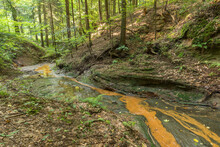 A Picturesque Forest Stream In Korczyna, Podkarpackie Province, Poland