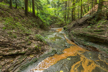 A Stream Flowing Through Woods In Korczyna, Podkarpackie Province, Poland