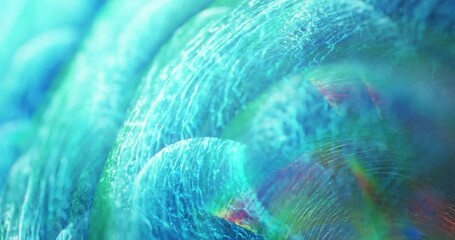 Poster - Closeup rainbow colored feather, fluid texture abstract background, blurred , slow motion, smooth gradients and shallow depth. Seamless loop 4k