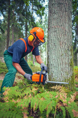 Wall Mural - lumberjack at work