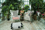 Fototapeta Tulipany - Refined interior of the greenhouse..
