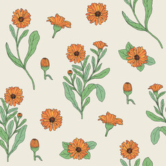 Poster - Colored botanical seamless pattern with blooming calendula plant, cut flower heads and buds hand drawn. Beautiful medicinal flowering herb. Vector illustration for textile print, wallpaper.