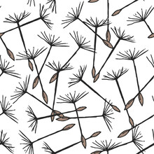 Seamless Pattern With Flying Dandelion Seeds Or Achenes On Pappuses Drawn On White Background. Natural Vector Illustration With Flower Parts For Backdrop, Textile Print.