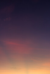 Wall Mural - dusk sky vertical with colorful orange sunlight in the evening on golden hour