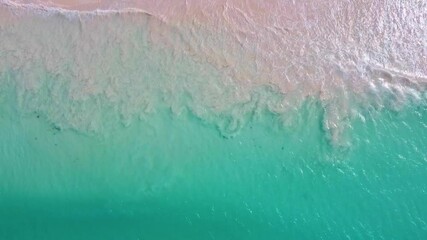 Canvas Print - Calm aerial view of a tropical beach in the Seychelles. Ocean waves on the shore