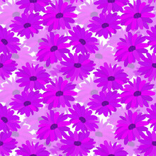 Seamless Pattern With Large Purple Marigold Flowers. Saturated Two-layer Floral Background.